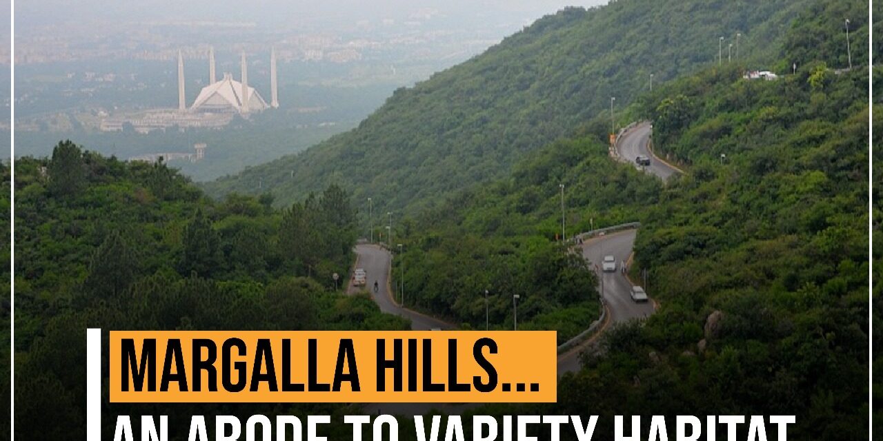 Margalla Hills